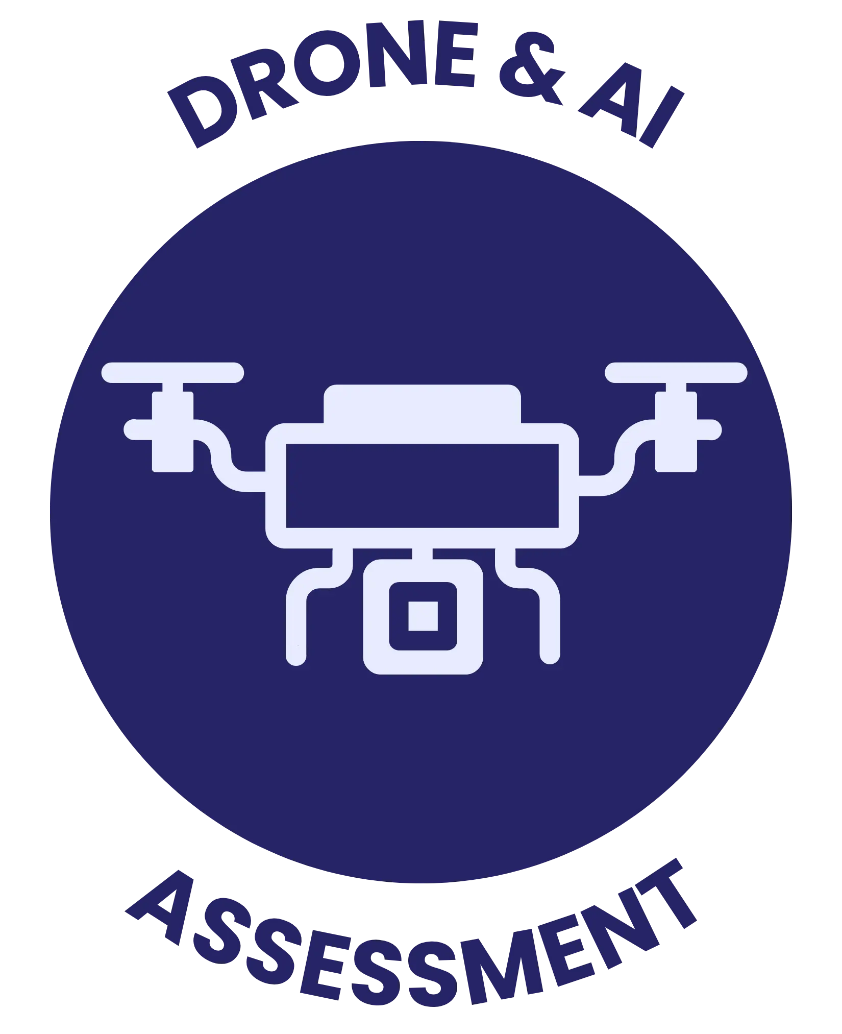 DRONE & AI ASSESSMENT
